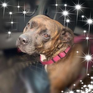 Meet your Posher, Tracy